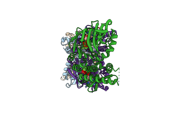 4NCJ image
