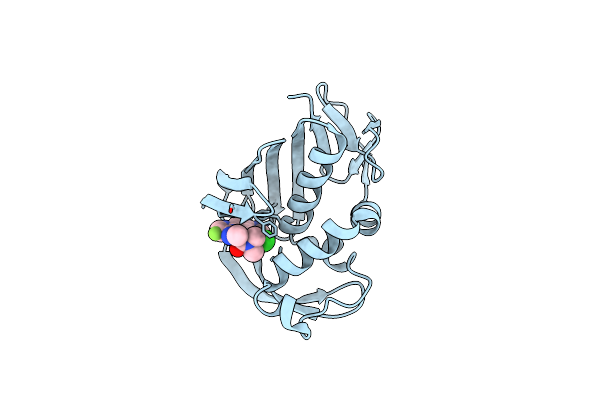 4NCM image