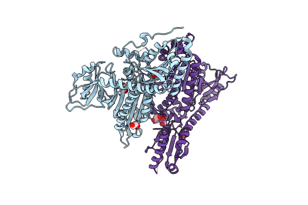 4NCX image