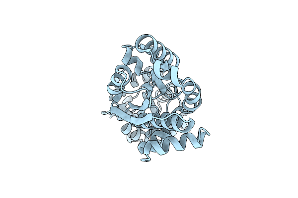 4ND9 image