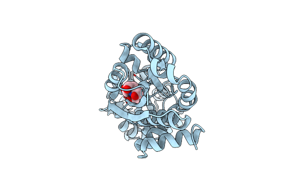 4NE4 image