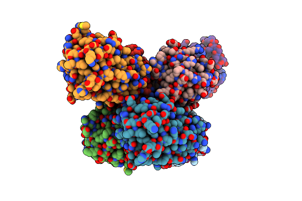 4NF1 image