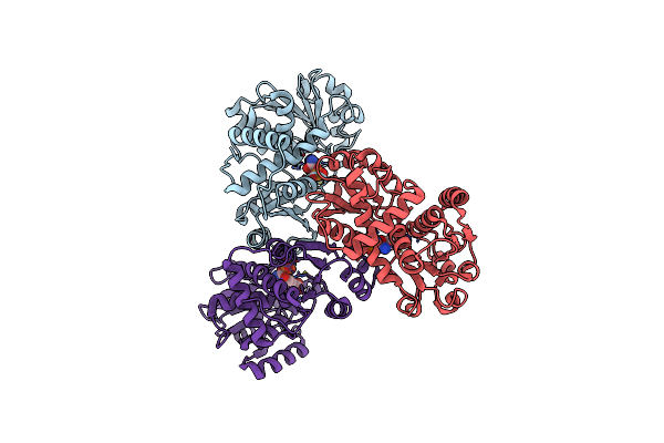 4NF2 image