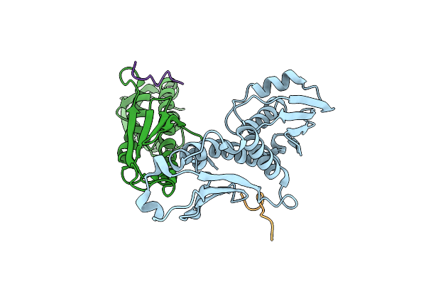 4NF9 image