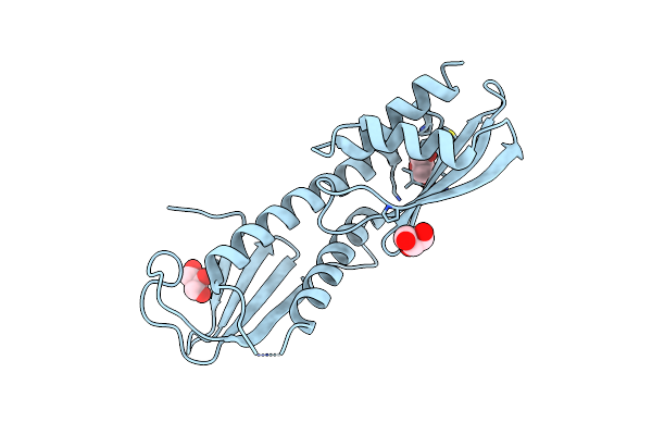 4NFA image