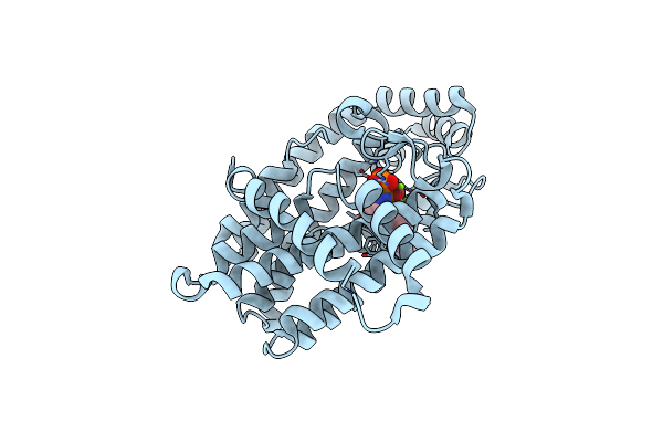 4NFI image