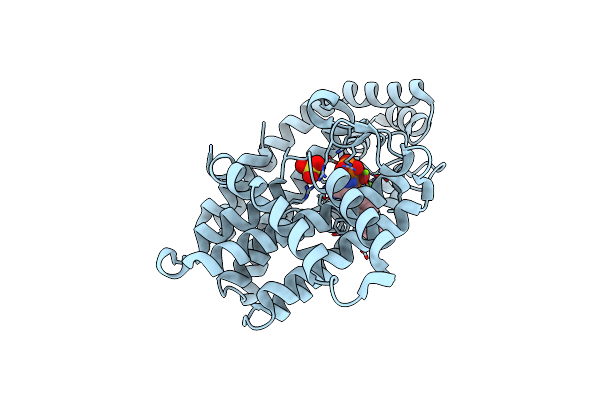 4NFJ image