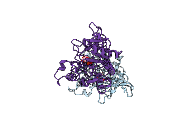 4NFR image
