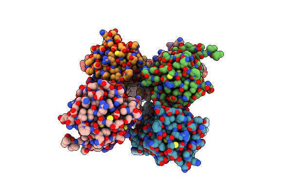 4NFX image