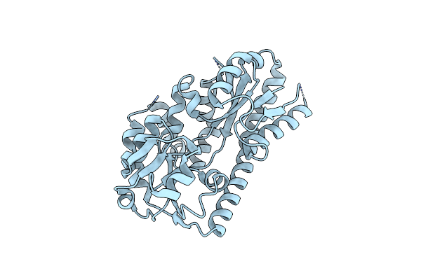 4NG7 image