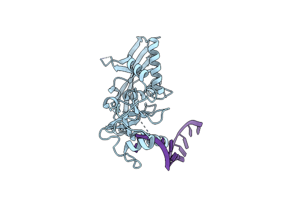 4NGB image