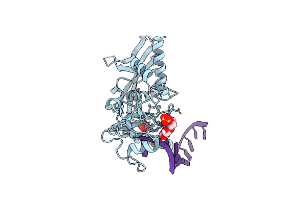 4NGD image