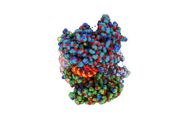 4NGF image