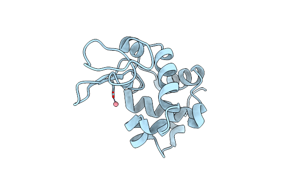 4NGK image