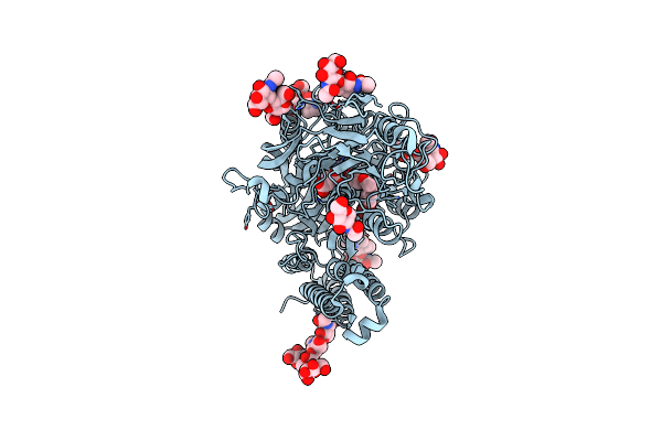 4NGM image