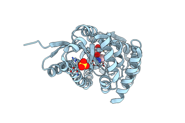 4NGU image