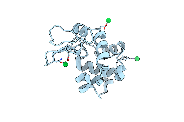 4NGW image