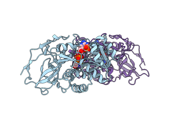 4NH4 image