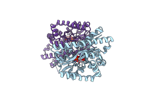 4NHB image