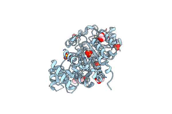 4NHO image