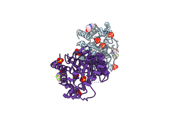 4NIR image