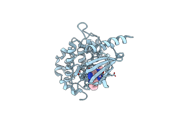 4NJD image