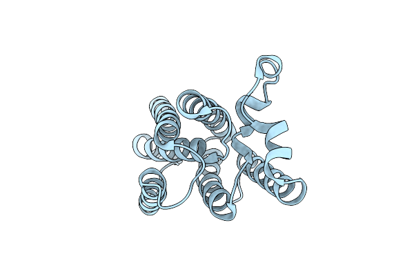 4NJN image