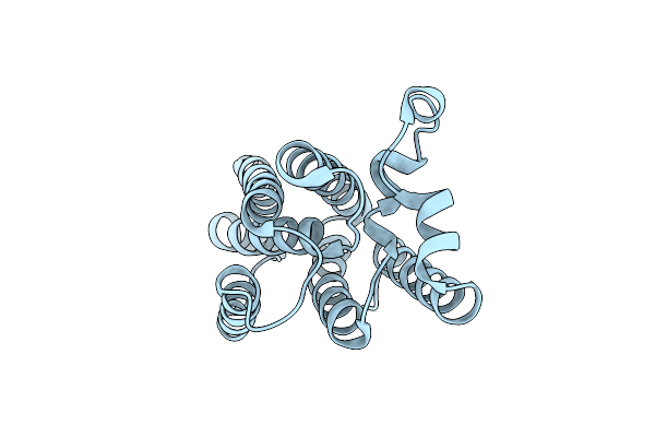 4NJP image