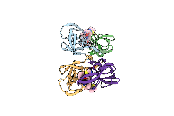 4NJV image