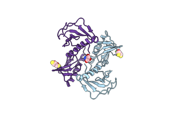4NKB image