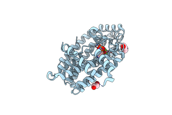 4NKF image
