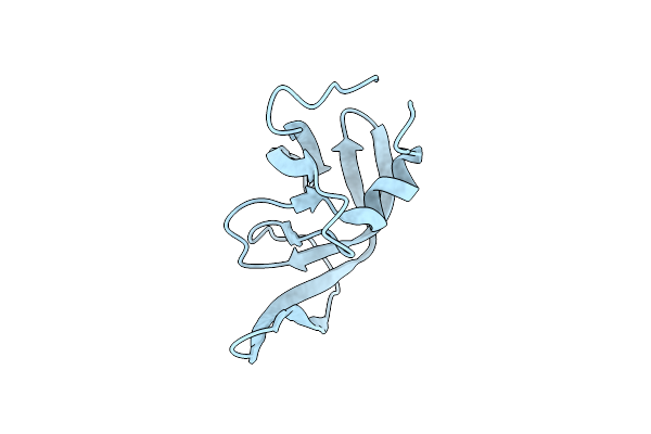4NKK image