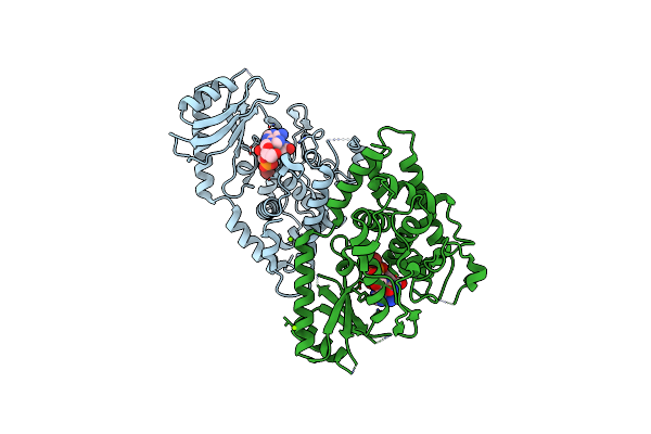 4NKU image