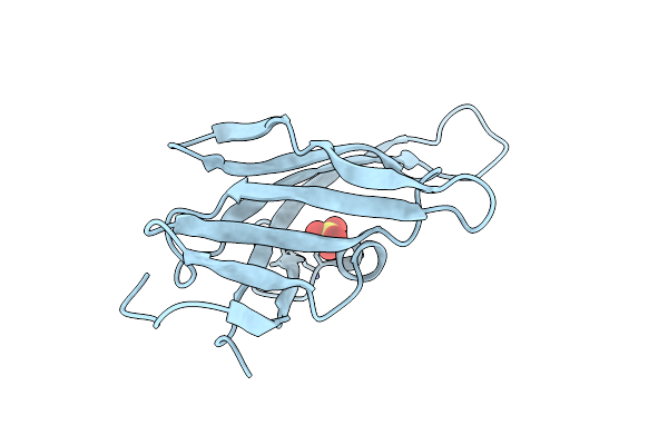 4NLA image