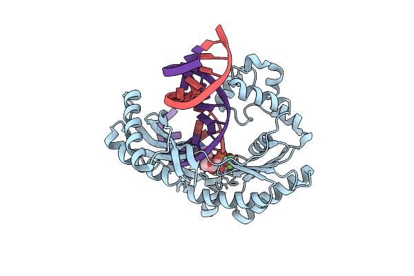 4NLG image