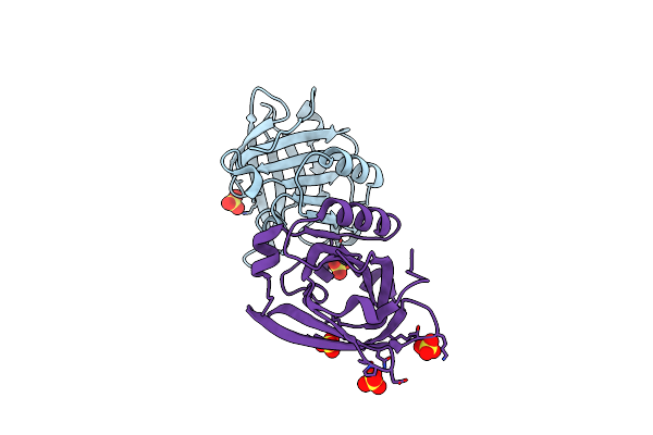 4NLJ image
