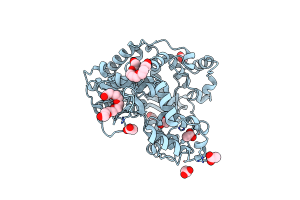 4NLQ image