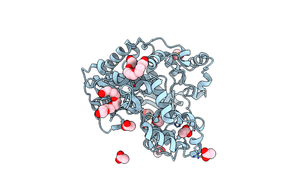 4NLV image