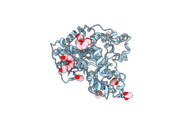 4NLX image