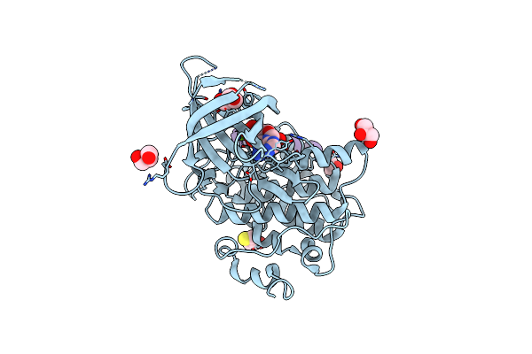 4NM3 image