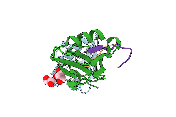 4NMO image