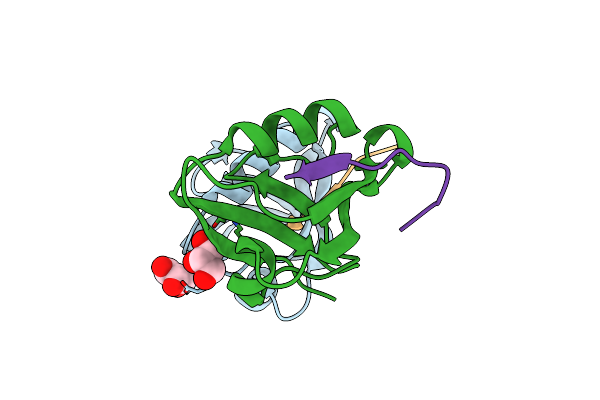 4NMT image
