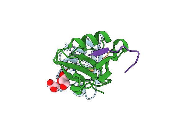 4NMV image