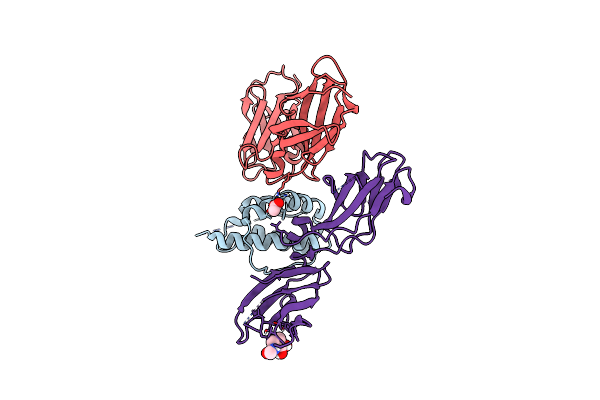 4NN5 image