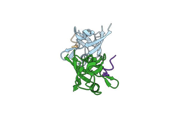 4NNL image