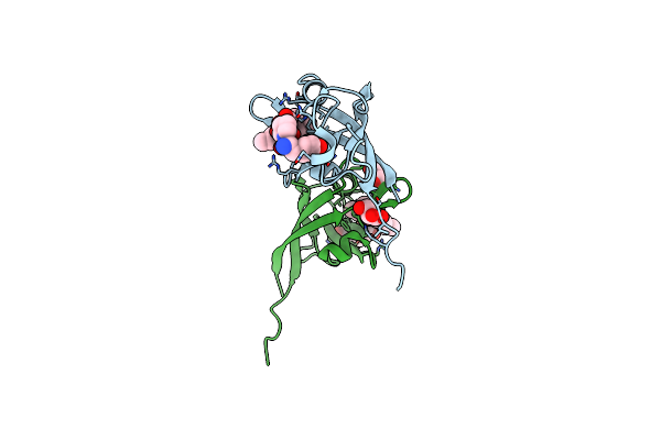 4NNM image