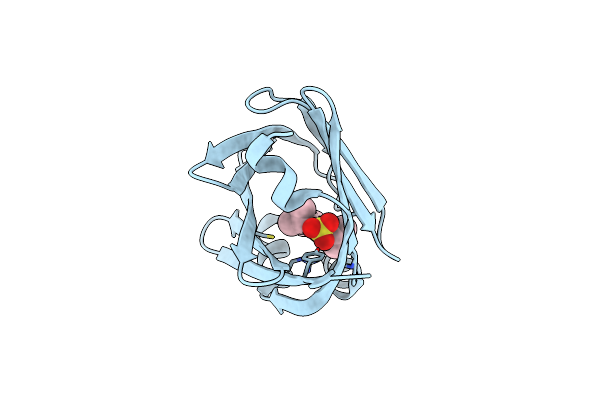 4NNS image