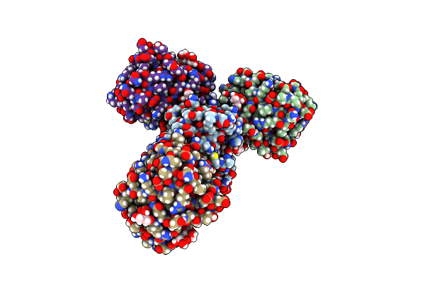4NO4 image