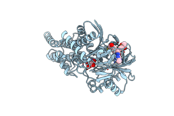 4NO7 image