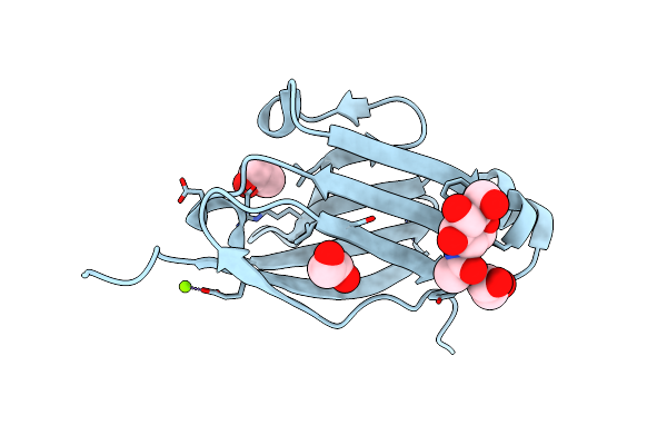 4NOB image